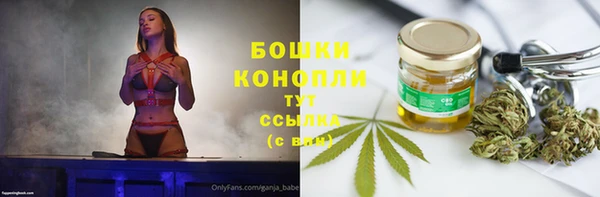 дурь Мегион