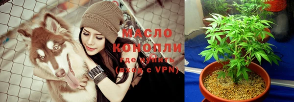 крисы Медногорск