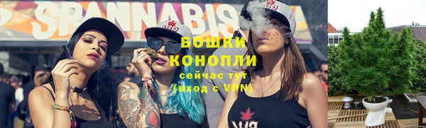 молекула духа Магас