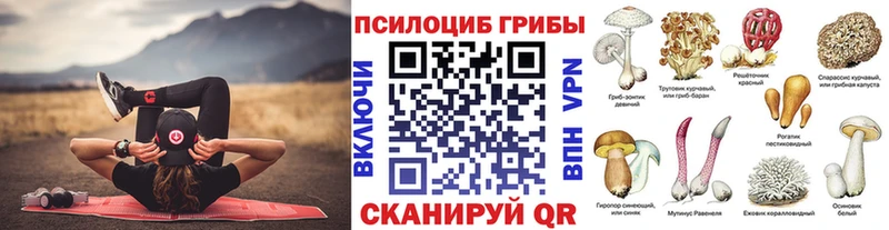 Псилоцибиновые грибы MAGIC MUSHROOMS  где продают наркотики  Люберцы 