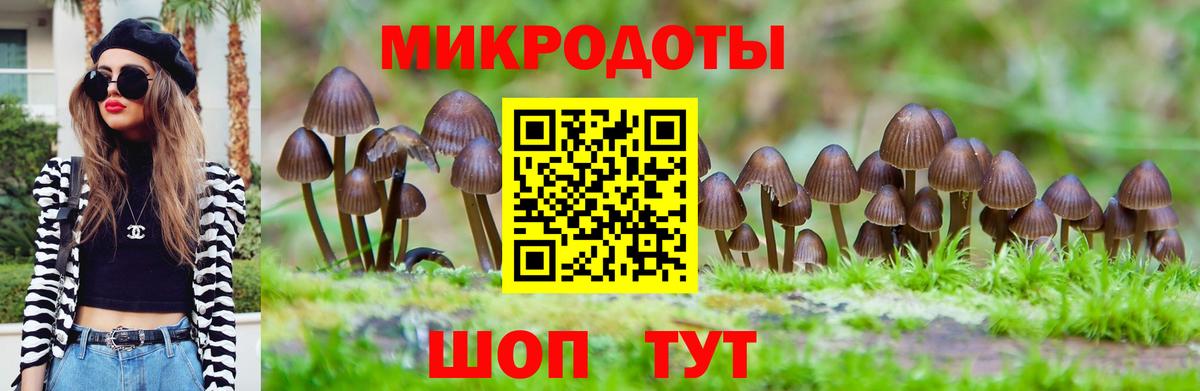 Псилоцибиновые грибы Cubensis Люберцы